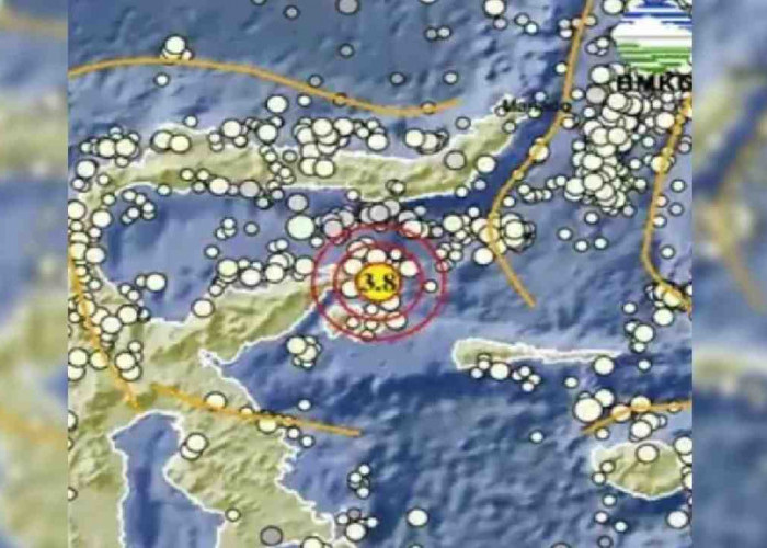 Update BMKG, Gempa 3.8 Magnitudo Guncang Banggai Kepulauan Sulteng, Tak Berpotensi Tsunami