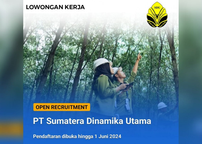 10 Lowongan Kerja Terbaru Dibuka PT Sumatera Dinamika Utama (SDU) Cek Syarat dan Kualifikasi Lengkapnya