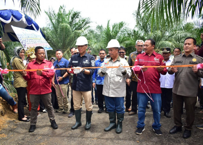 SUMRINGAH! Petani Sawit di Mesuji Raya OKI Panen Perdana Program PSR