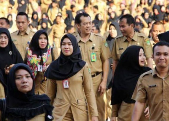 PNS dan PPPK Jangan Lakukan Hal Ini, Sanksinya Bisa Dipecat dengan Tidak Hormat