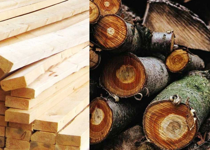 Sering Diremehkan, Kayu Sungkai Ternyata Punya Keunggulan Mengejutkan, Apa Saja?