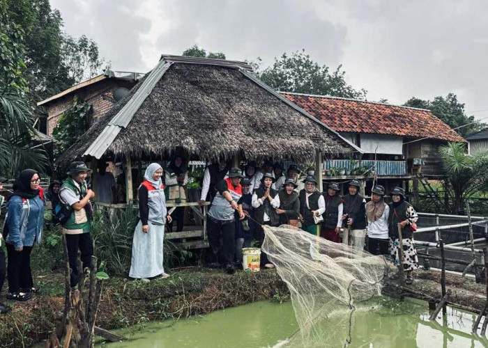 Baru Berjalan Setahun, 'Karo Mamang' Hidupkan Ekonomi Perempuan di Kelurahan Mangunjaya