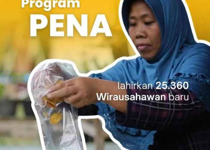 Cek Jadwal Pencairan Bansos PENA Berdikari dari Kemensos Rp 2.400.000 Kepada UMKM  