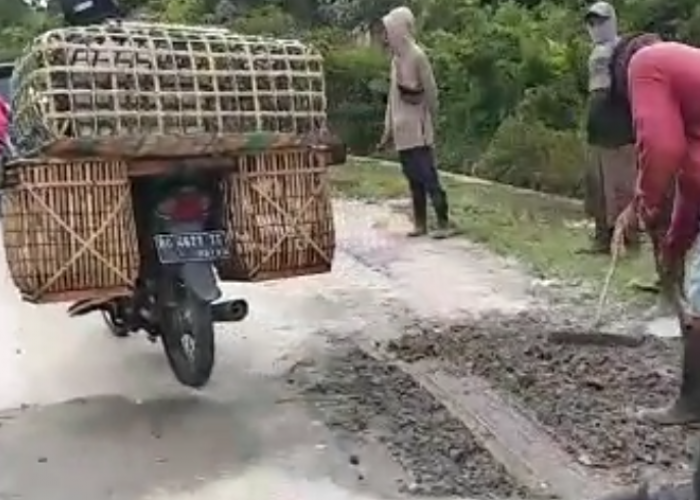 Surati Dinas PUBMTR Sumsel, Jalan Amblas di Tanjung Batu Langsung Diperbaiki 