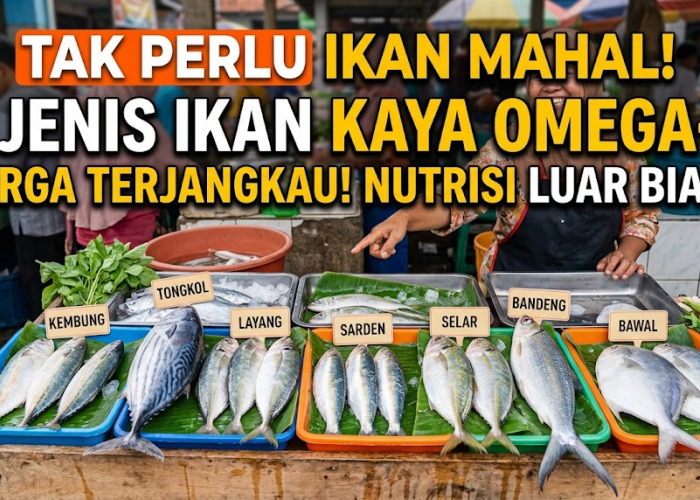Tak Perlu Ikan Mahal! Ini 7 Jenis Ikan Kaya Omega-3 dengan Harga Terjangkau tapi Punya Nutrisi Luar Biasa