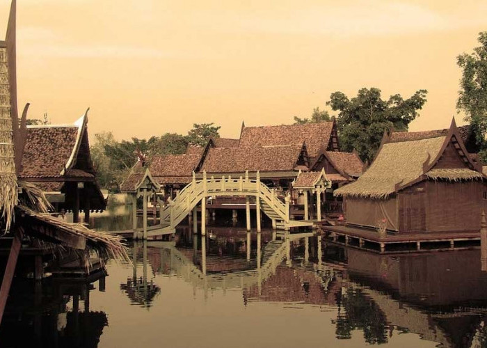 85 Km dari Palembang Sudah Bisa Nikmati Keindahan Alam Hutan Mangrove di Desa Ini, Kulinernya Unik Banget 