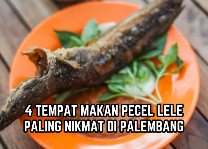 Awas Ketagihan, Inilah 4 Tempat Makan Pecel Lele di Palembang Paling Enak, Sensasi Pedas Sambalnya Juara! 