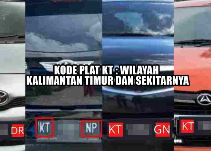 Info Kode Plat Kendaraan Kalimantan Timur KT, Ini Area dan Wilayahnya