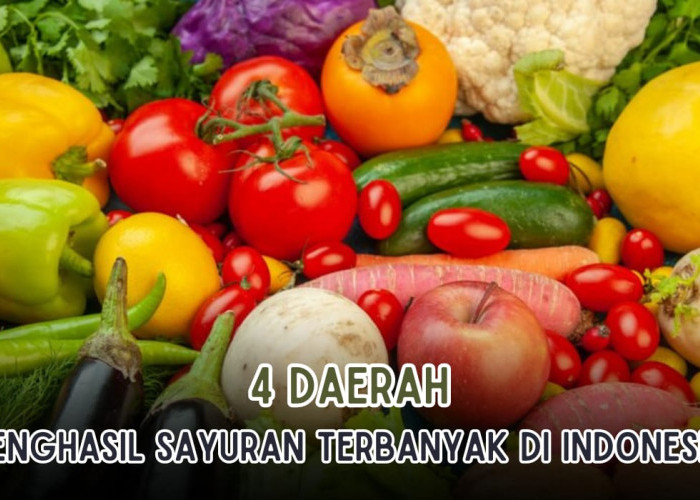 4 Daerah Penghasil Sayuran Paling Banyak Di Indonesia, Ratusan Ton Sayuran Dihasilkan dari Pulau Sumatera!