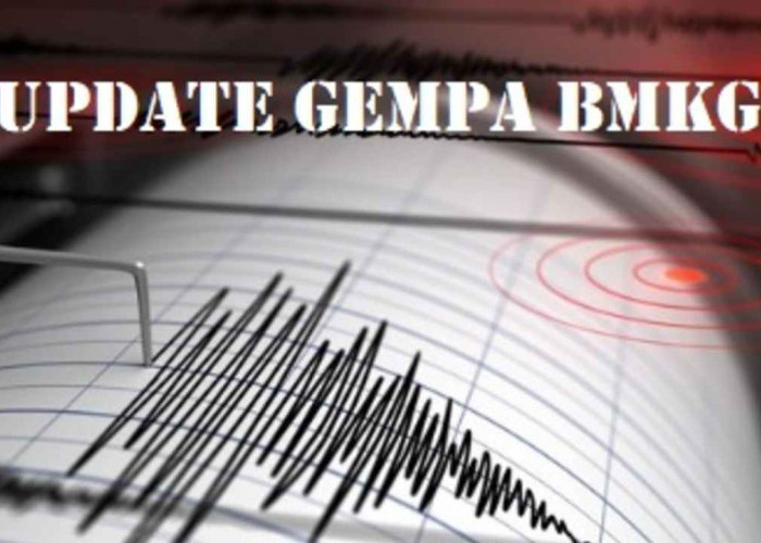 Update BMKG, Pagi Ini Gempa 4.6 Magnitudo Guncang Bolmut Sulut, Tak Berpotensi Tsunami