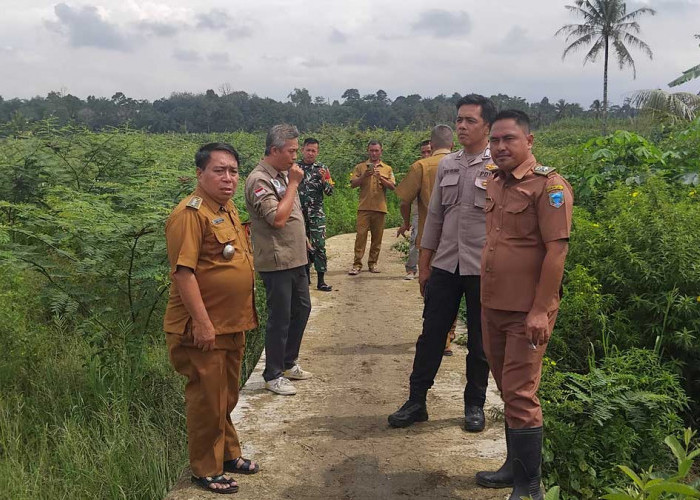 Alhamdulillah! Tak Lagi Gusar Angkut Padi, Warga Beringin Jaya Lahat Kini Punya Akses Jalan Mulus