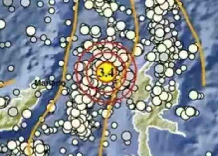 Dari NTT hingga Papua, Gempa Kecil Muncul Beruntun Pagi Ini
