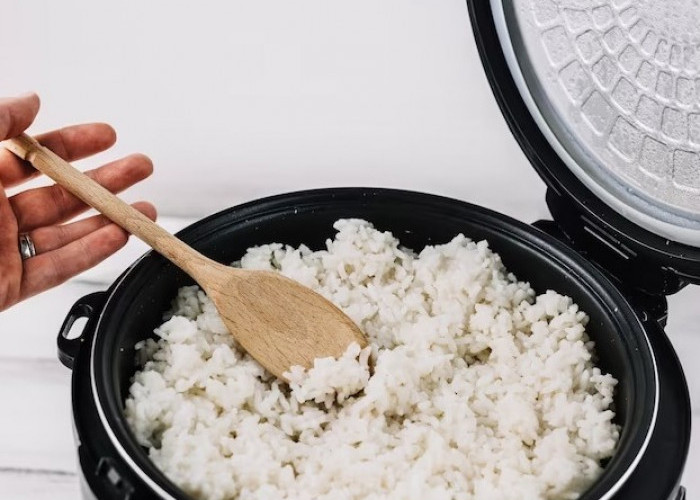 Emak-emak Bahagia, Ada Bantuan Rice Cooker Gratis yang Disalurkan Bulan Depan, Begini Cara Cek Penerimanya