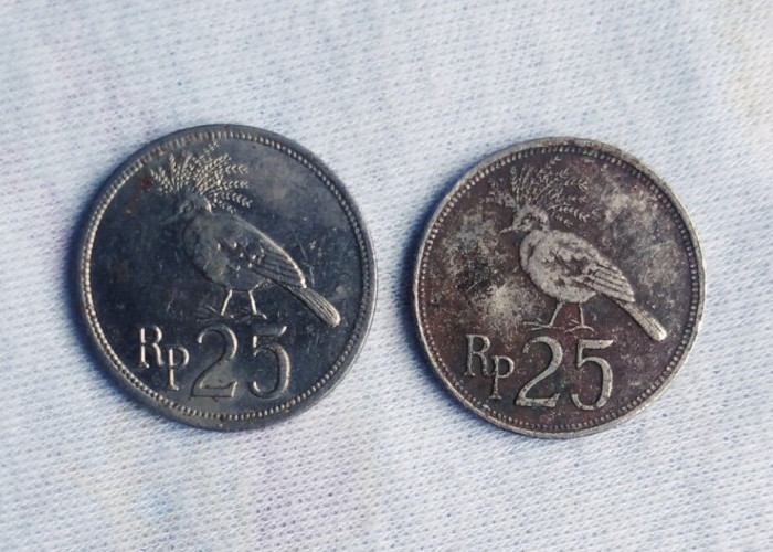 Koin Kuno Rp25 Tahun 1971 Banyak Dicari Kolektor, Harganya Setara Motor Matic, Kamu Punya?
