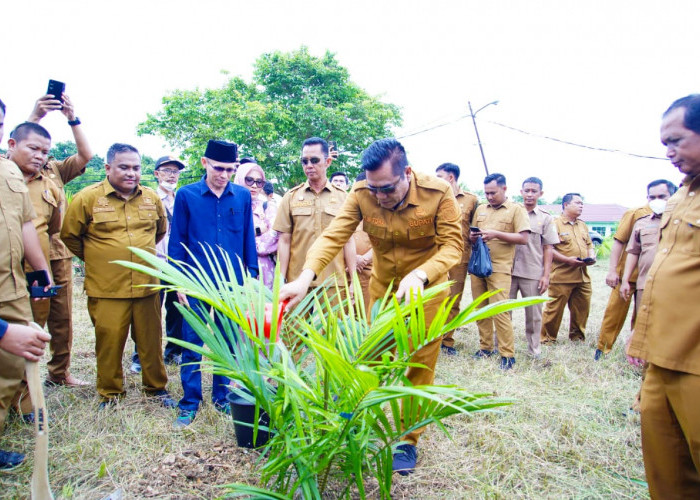 Manfaatkan Aset Tak Terpakai, Pemkab Muba Tanam Sawit dan Tebar 10 Ribu Benih Lele