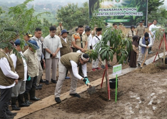 Pertamina EP Hijaukan 6,3 Hektare Lahan DAS di  dengan Tanam Pohon Serentak