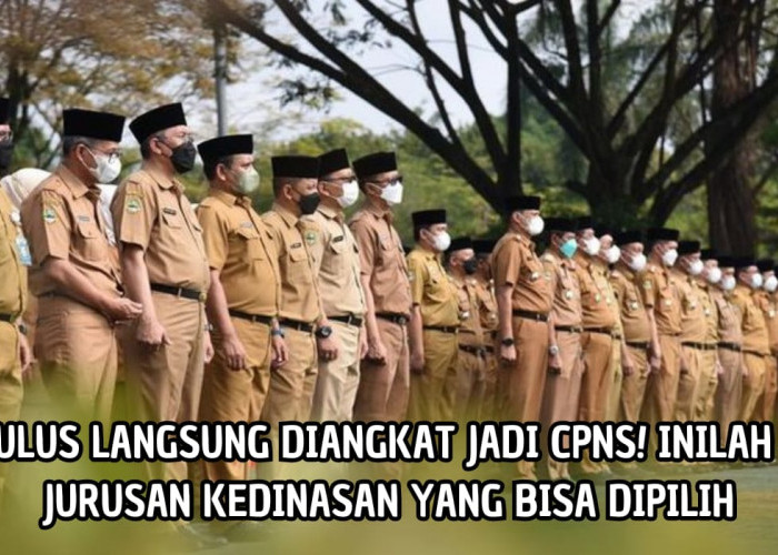 Lulus Langsung Diangkat CPNS! Pilih 5 Jurusan Kuliah Ini Saja, Berikut Bocoran Program Studinya