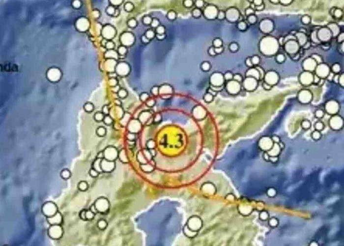 Gempa Magnitudo 4,3 Guncang Poso Pagi Ini, Tak Berpotensi Tsunami