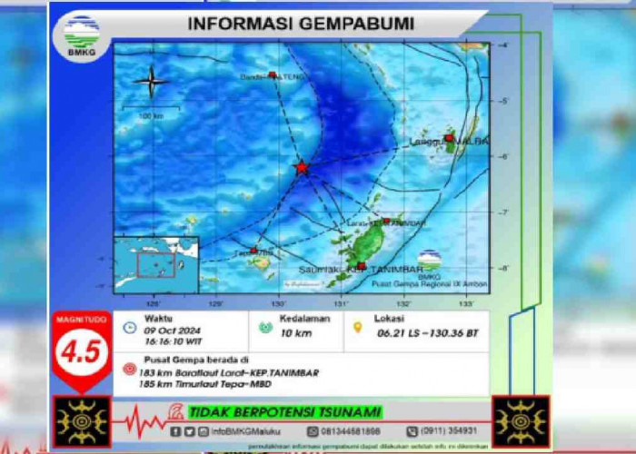 Kepulauan Tanimbar Maluku Diguncang Gempa 4.5 Magnitudo, pada Kedalaman 10 Km, Tak Berpotensi Tsunami