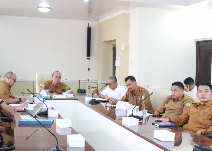 Pemkab Muba Siap Kawal Program Listrik Perdesaan 