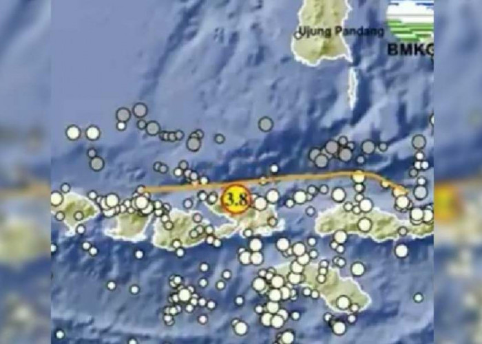 Gempa 3.8 M Guncang Dompu NTB, Cek Kekuatan, Episentrum dan Kedalamannya