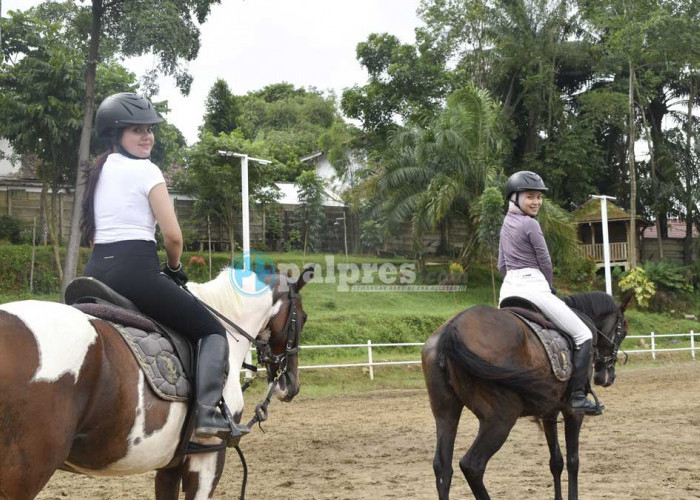Serasa di Jogja! Resto Unik di Palembang Ini Punya View Berkuda dan Bangunan Joglo Autentik
