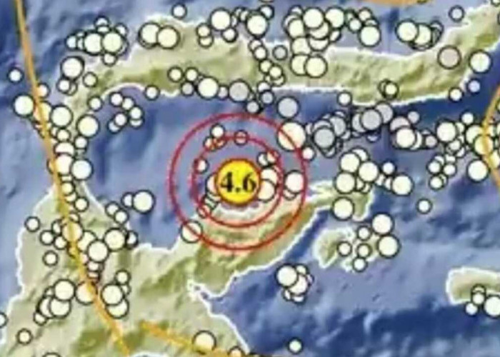 Update BMKG, Gempa Magnitudo 4.6 Guncang Tojo Una-Una Sulteng, Ini Titik Episentrumnya