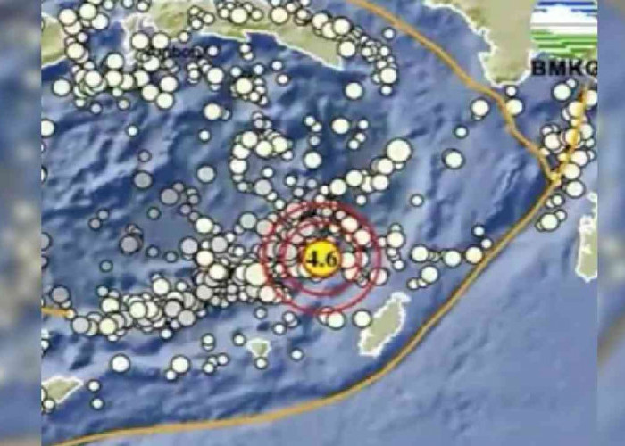 Update BMKG, Gempa 4.6 Magnitudo Guncang Maluku Tenggara Barat, Tak Berpotensi Tsunami