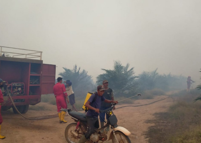Masyarakat Lubuk Pandan Musi Rawas Resah, Lahan Sawit Diduga Sengaja Dibakar dan Buahnya Dicuri