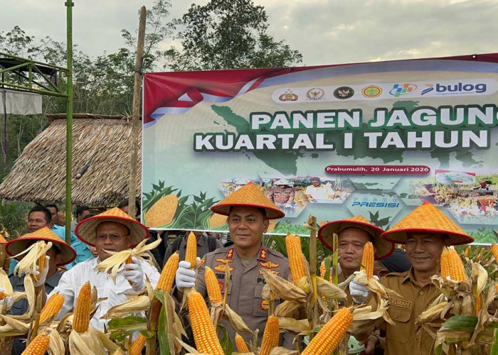 Panen Jagung Hibrida Di RT, Kapolres Prabumulih Harapkan Ini