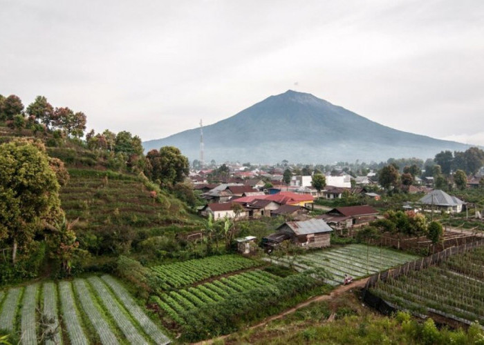 Cianjur Rela Dimekarkan, 14 Kecamatannya Siap Gabung Calon Kabupaten Baru