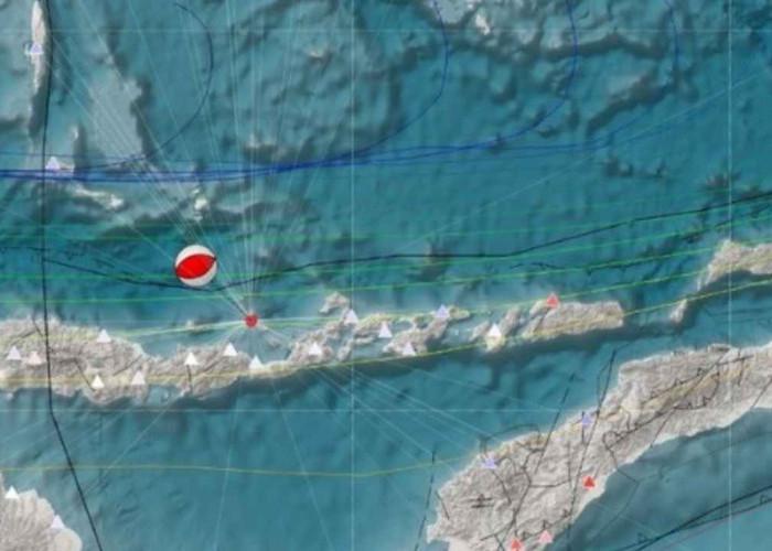 Aktivitas Sesar Naik Busur Belakang Flores Picu Gempa Laut di Maumere NTT, Cek Kekuatan dan Episentrumnya