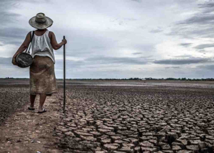 Siap-siap! Musim Kemarau 2026 Datang Lebih Awal, Puncaknya Agustus Mendatang