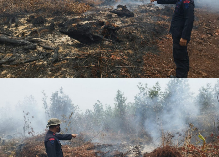 Gelar Patroli Karhutla, Personel Satbrimob Polda Sumsel Batalyon B Pelopor Cek Titik Api Lahan Yang Terbakar