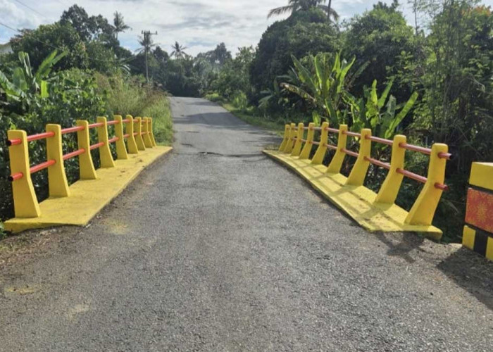 Tampil Beda dan Estetik! Jembatan di Musi Rawas Kini Dihiasi Motif Batik, Pengendara Makin Nyaman