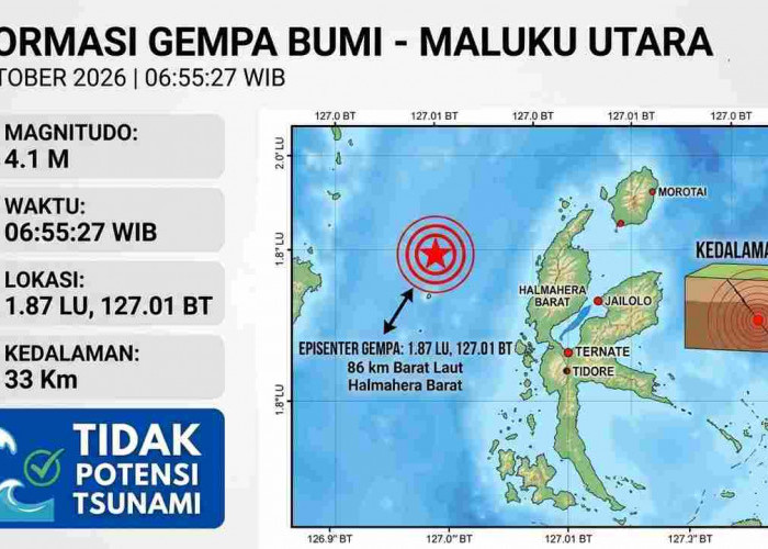 Gempa M4,1 di Maluku Utara, Rentetan Gempa Kecil Terjadi di NTT Pagi Ini
