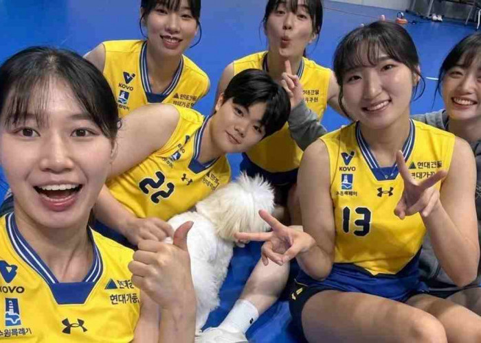 Na Hyun-soo Tampil Gacor, Hyundai Hillstate Punya Opsi Baru Selain Megawati Hangestri?