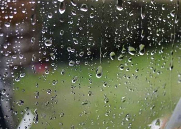 Prakiraan Cuaca di Empat Lawang Senin 23 Oktober 2023, BMKG Prediksi Bakal Turun Hujan Ringan dan Berkabut
