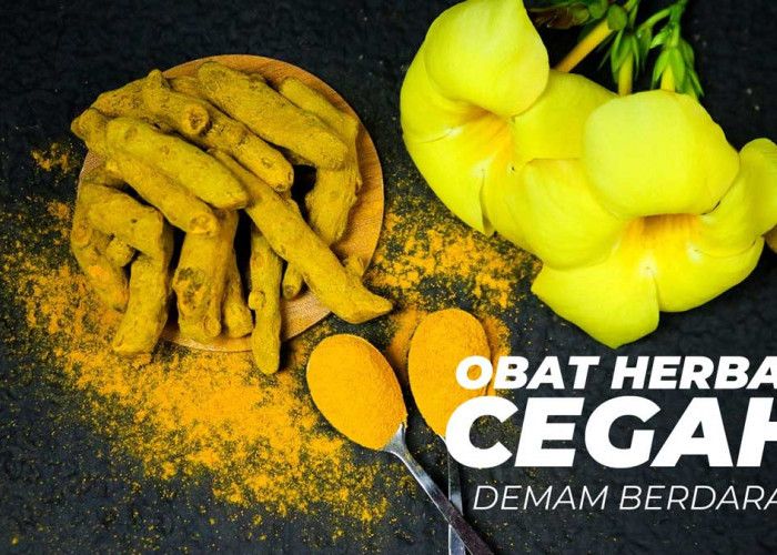 Penyakit Demam Berdarah Meningkatkan, 5 Herbal Ini Dipercaya Dapat Membantu Kamu Memeranginya!