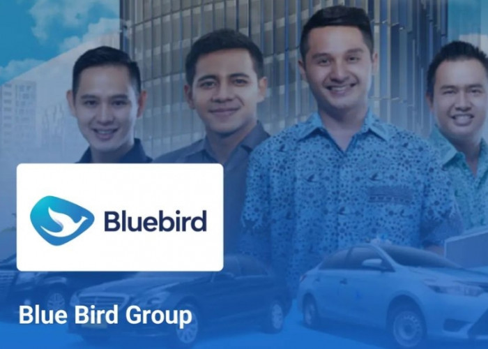 Lowongan Kerja Terbaru Blue Bird Group Tingkat D3 S1 Semua Jurusan Bulan Mei 2024