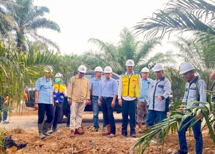 Pelajari Sistem Kemitraan KUD, Kementerian PUPR Kunjungi Kebun Plasma PT Sampoerna Agro Tbk