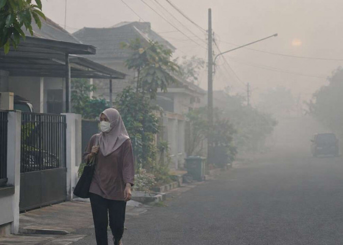 Prakiraan Cuaca Sumsel 17 Oktober 2026: Palembang Masih Udara Kabur, 7 Wilayah Cerah