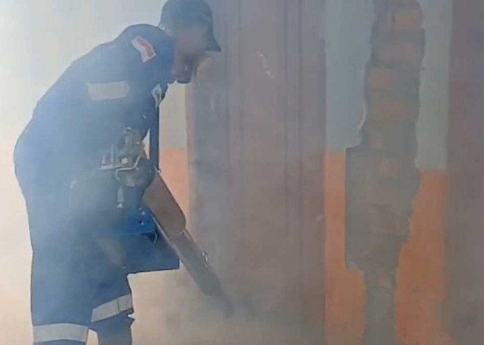 Waspada Musim Pancaroba! Aksi Nyata Pemdes Banjarsari Lahat Tekan Penyebaran Nyamuk Aedes Aegypti