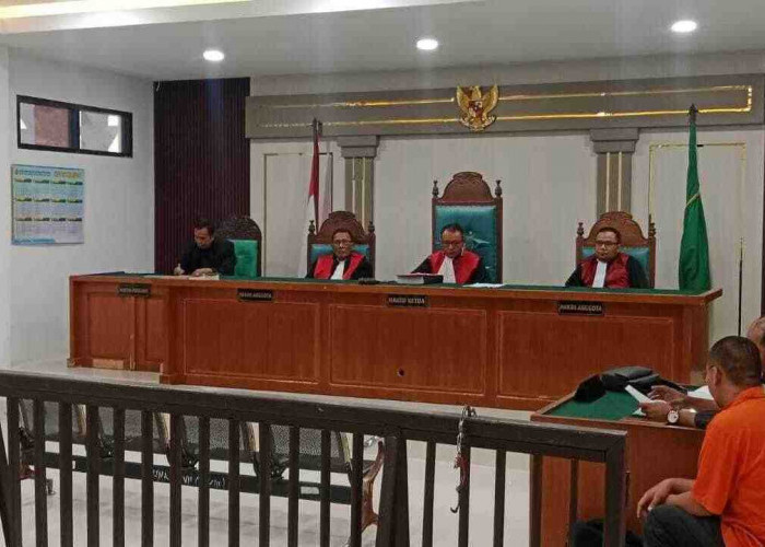 Kasus 40 Ton Batubara Ilegal Bergulir di PN Palembang, Direktur CV Jadi Terdakwa