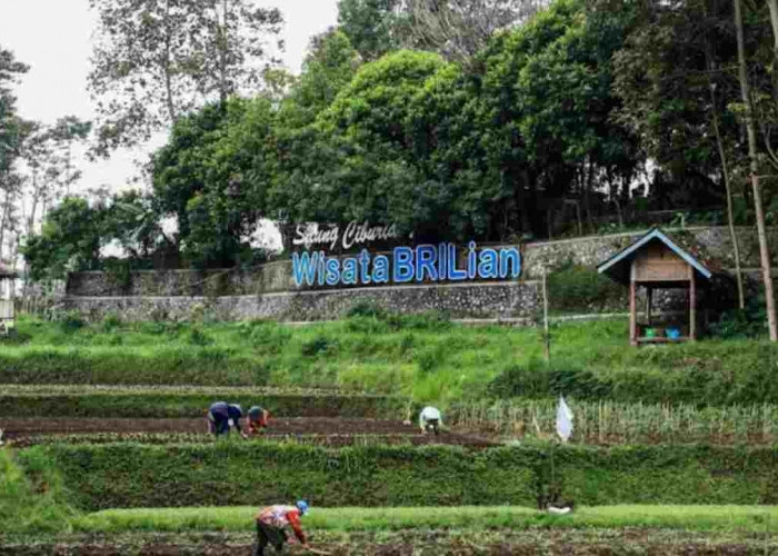 Jangkau 5.245 Desa BRILiaN, BRI Perluas Dukungan bagi Pengembangan Ekonomi Desa