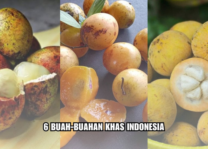 6 Buah-buahan Khas Indonesia yang Tidak Dijumpai di Negara Lain, Ada Matoa Hingga Gandaria