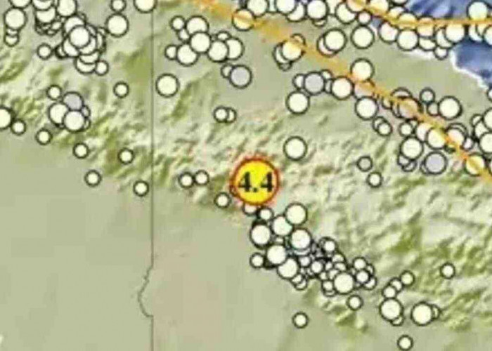 Gempa Magnitudo 4,4 Guncang Pegunungan Bintang pada Kedalaman 207 Km, Tak Berpotensi Tsunami