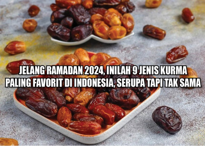 Jelang Ramadan 2024, Inilah 9 Jenis Kurma Paling Favorit di Indonesia, Serupa Tapi Tak Sama