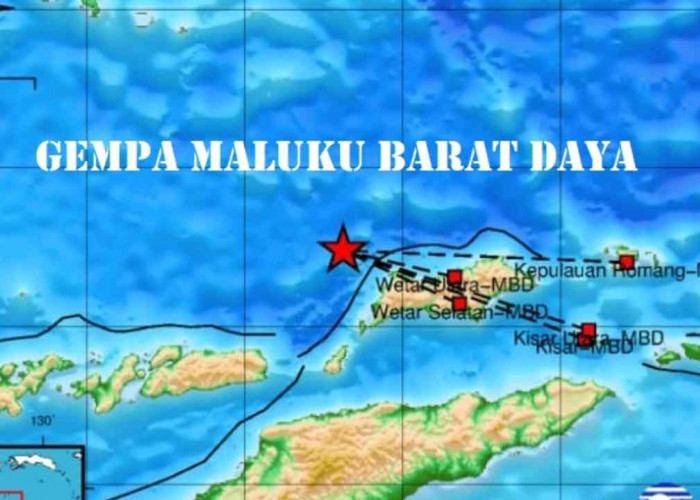 Pagi Ini Gempa 3.8 Magnitudo Guncang Maluku Barat Daya, Cek Update Pusat Gempa Regional IX Ambon