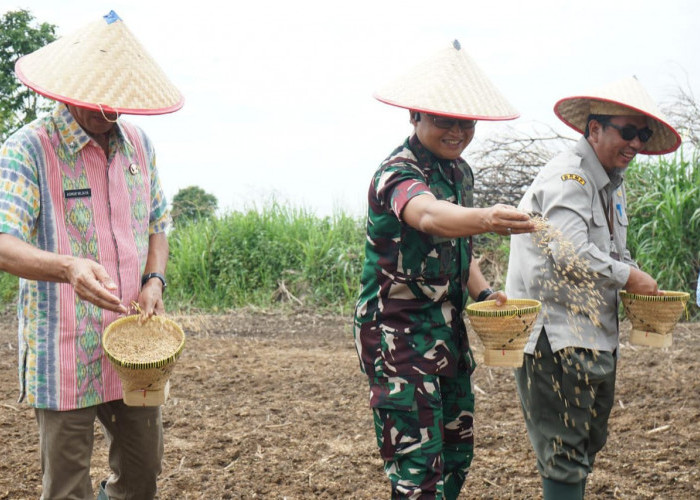 TNI Turun ke Sawah! Kodim 0402/OKI-OI Tanam Padi Perdana Program Cetak Sawah di Benawa